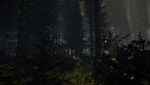 The Forest Screenshot 516