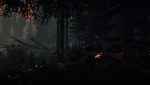 The Forest Screenshot 5
