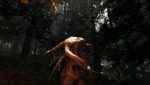 The Forest Screenshot 24