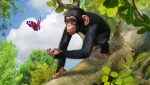 Zoo Tycoon Screenshot 1