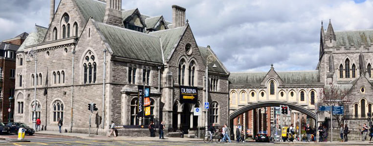 Dublinia