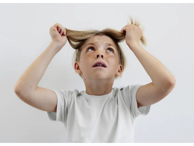 Homoeobazaar: Buy Homeopathy Medicines Online