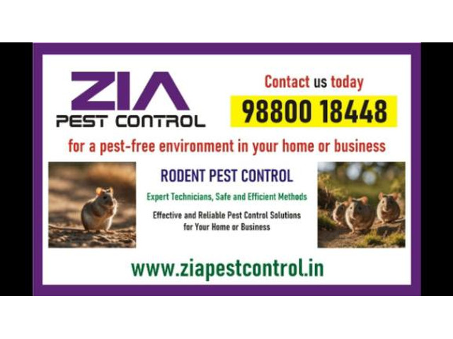 Rodent Control | Rodent treatment | Pest control services near me | 8071