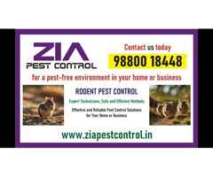 Rodent Control | Rodent treatment | Pest control services near me | 8071