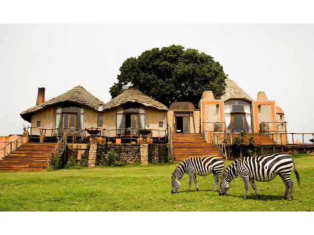 Tanzania Lake Manyara National Park Safari Packages – Asante Travel Group
