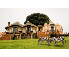 Tanzania Lake Manyara National Park Safari Packages – Asante Travel Group