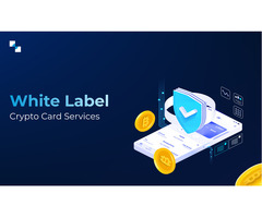White Label Crypto Card Services Are All Set For The Next Evolution In The Payments World