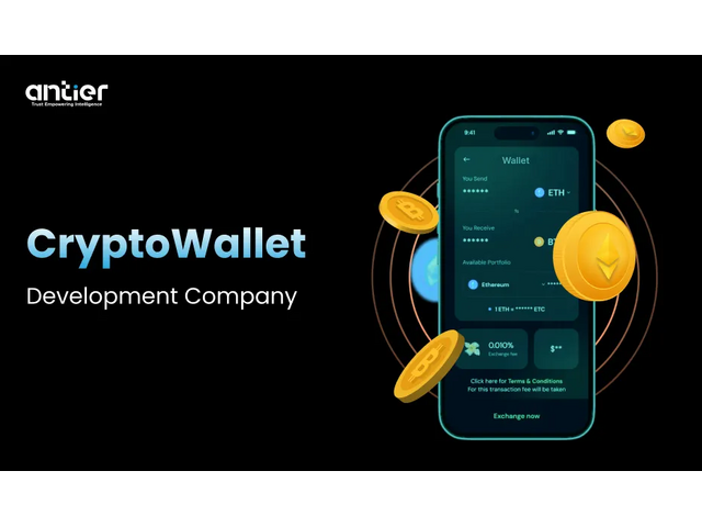 Why Enterprise Teams Prefer to Hire a Crypto Wallet Development Company For Two Weeks Launches