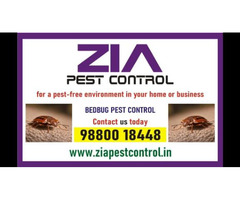Bed Bugs Control | Appartments | Paying Guest | Zia Pest Control | 236