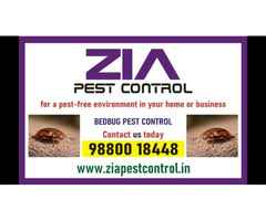 Bed Bugs Control | Appartments | Paying Guest | Zia Pest Control | 236