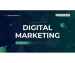 Best Digital Marketing Institute in Delhi for Practical Training