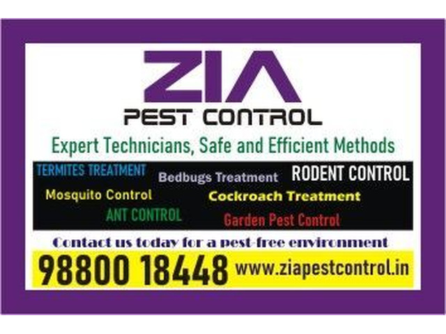 Zia Pest control | General pest control services in Bangalore | Termite | 5016
