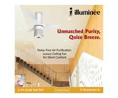 Luxury Ceiling Fans for Sale|8100560057|illuminee
