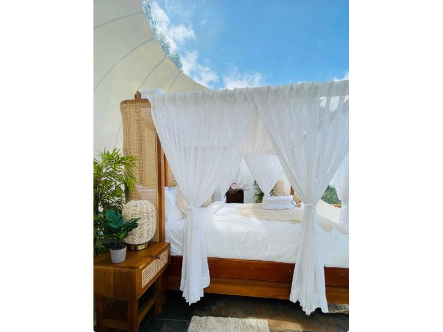 Mountain View Staycation Munnar | Luxury Glamping in Munnar