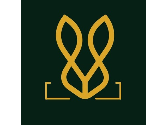 Buy Trendy Vegan Leather Footwear from Bold Bunny – Stylish, Ethical & Durable