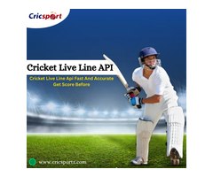 Get the Best Cricket Stats API for Apps, Fantasy Sports & Websites