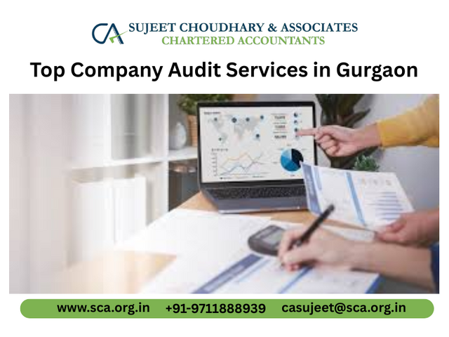 Top Company Audit Services in Gurgaon