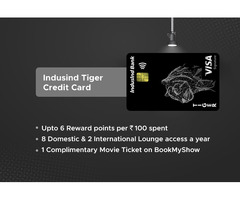 HSBC Platinum Credit Card - Lifetime FREE Credit Card - No Joining/Annual Fee