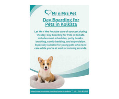 Day Boarding for Pets in Kolkata