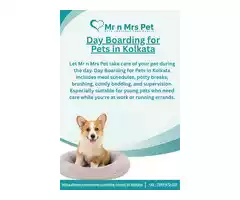 Day Boarding for Pets in Kolkata