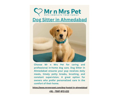 Dog Sitter in Ahmedabad