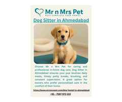 Dog Sitter in Ahmedabad