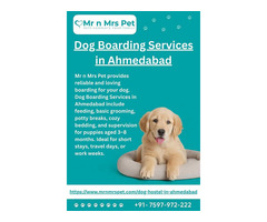 Dog Boarding Services in Ahmedabad