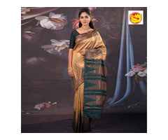 Grace Meets Glamour: Explore Theni Anantham Latest Fancy Saree Styles