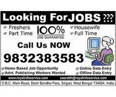 Data Project Work