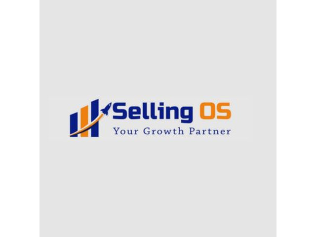 Grow Your Sales with Professional eBay Account Management Services – Selling OS