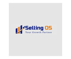 Grow Your Sales with Professional eBay Account Management Services – Selling OS
