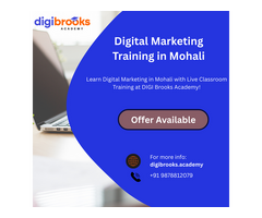 Learn Social Media Optimization | DIGI Brooks Academy