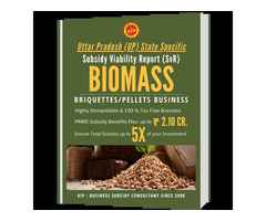 Buy Complete Biomass Subsidy Viability Report UP