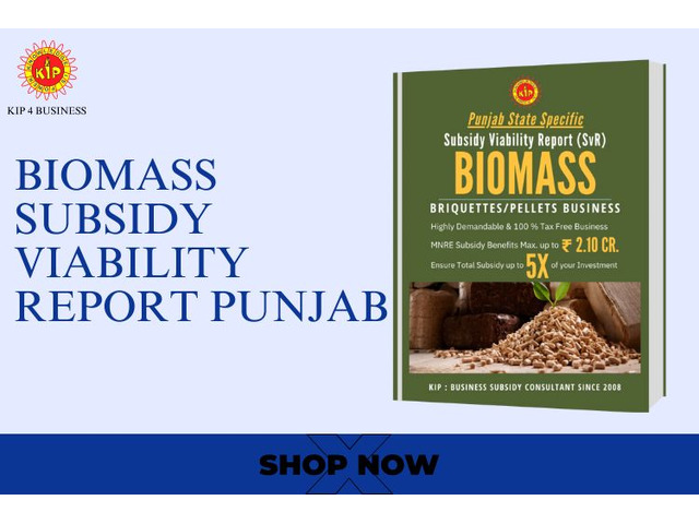 Financial Feasibility of Punjab Biomass Briquettes Ventures