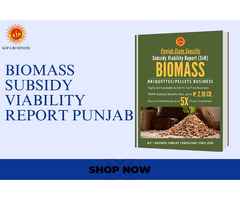 Financial Feasibility of Punjab Biomass Briquettes Ventures