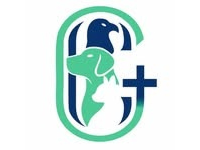 How to Ensure Optimal Health for Your Pets by Choosing the Right Vet