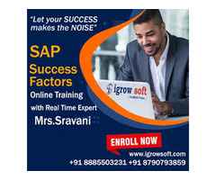 SAP Success Factors Online training institute Hyderabad | Igrowsoft