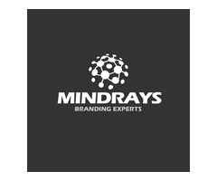 Best Digital Marketing Company in Delhi