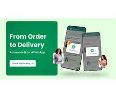 Which One is Right WhatsApp Business vs WhatsApp Business API: