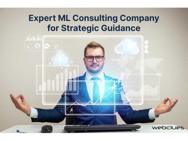 Expert ML Consulting Company for Strategic Guidance