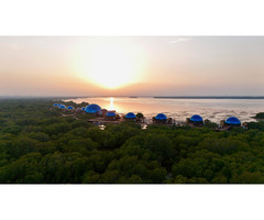 Top 10 Luxury Hotels in Dubai | Dubai Mangrove Resort Price