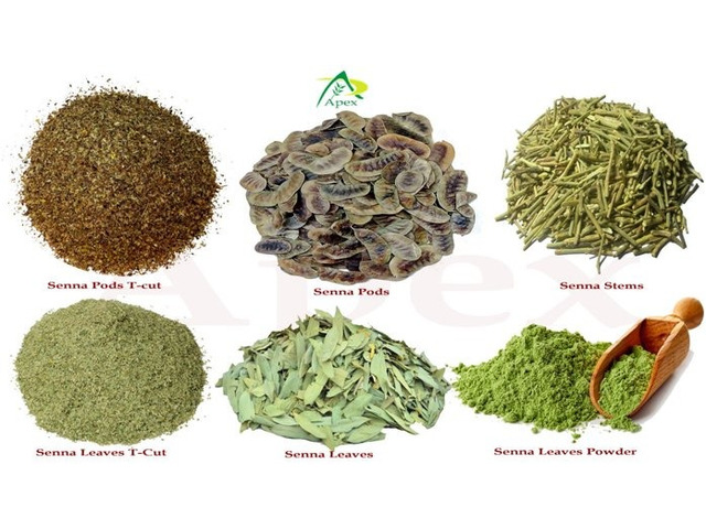 Senna Leaves, Pods Manufacturer, Exporters, Supplier India - Apexherbex