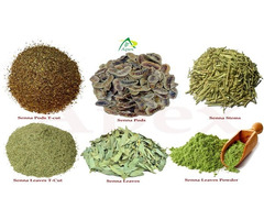 Senna Leaves, Pods Manufacturer, Exporters, Supplier India - Apexherbex