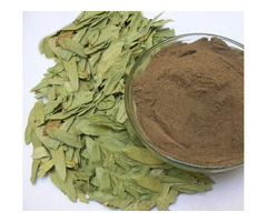 Senna Leaves, Pods Manufacturer, Exporters, Supplier India - Apexherbex