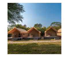 Gurugram Farm Stay - Farm Aravalia