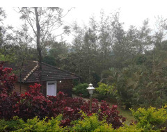 Best Mysore to Coorg Taxi Service | Mysore Cabs Tours and Travels