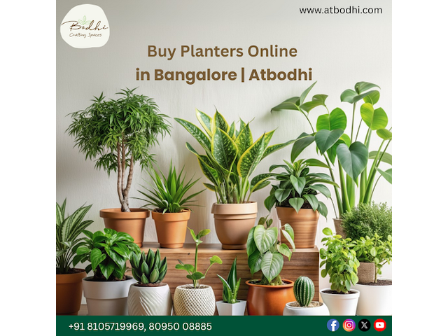 Premium Corporate Gifting Planters in Bangalore – Atbodhi