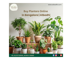 Premium Corporate Gifting Planters in Bangalore – Atbodhi