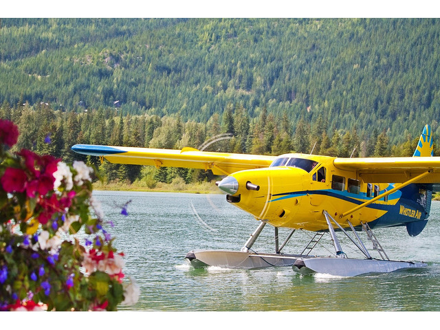 https:www.flaquarium.org/wp-content/uploads/formidable/38/ccomo-puedo-cancelar-un-vuelo-con-united-a