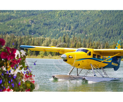 https:www.flaquarium.org/wp-content/uploads/formidable/38/ccomo-puedo-cancelar-un-vuelo-con-united-a